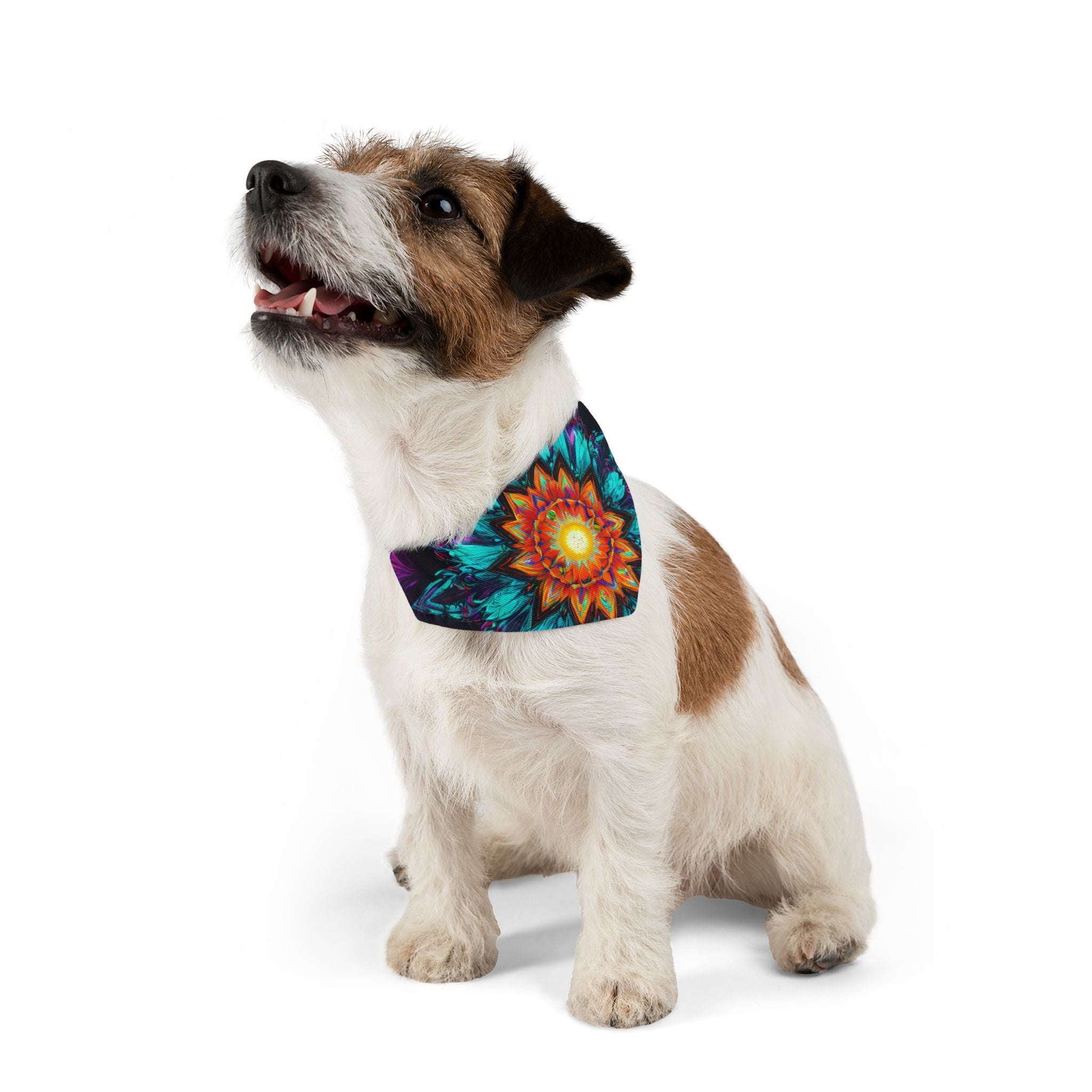 Kaleidoscope Mandala Pet Bandana Collar — Vibrant Boho Dog & Cat Accessory